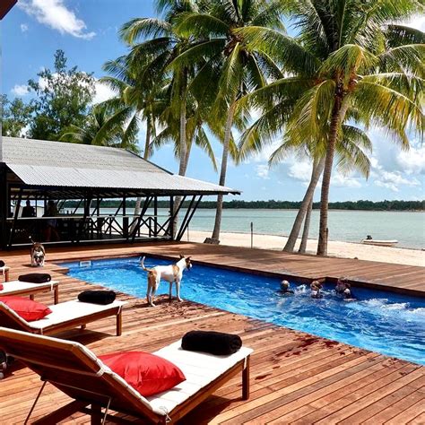 tiwi islands accommodation nt.
